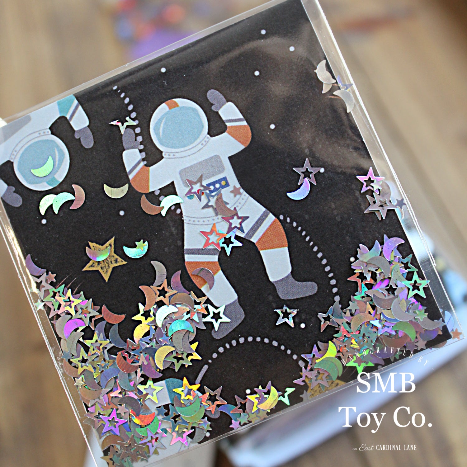 Mini Travel Journal - Astronauts in Space